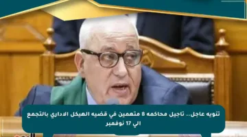 تنويه عاجل.. تأجيل محاكمة 8 متهمين في قضية الهيكل الإداري بالتجمع إلى 17 نوفمبر